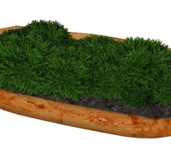 苔藓植物盆栽SU模型下载_sketchup草图大师SKP模型