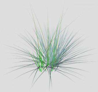 鼠尾粟植物SU模型下载_sketchup草图大师SKP模型