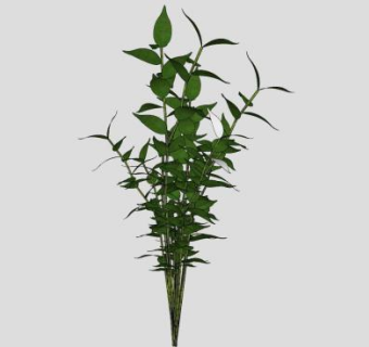 栀子花灌木植物SU模型下载_sketchup草图大师SKP模型