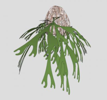鹿角蕨附生植物SU模型下载_sketchup草图大师SKP模型