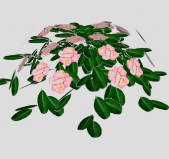 粉红色天竺葵SU模型下载_sketchup草图大师SKP模型