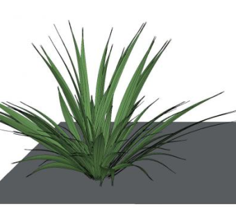 绿色新西兰麻SU模型下载_sketchup草图大师SKP模型