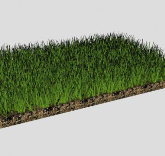 3D绿草植物SU模型下载_sketchup草图大师SKP模型