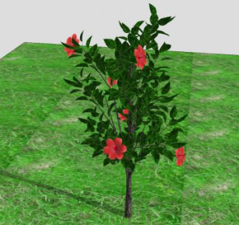 木槿开花灌木SU模型下载_sketchup草图大师SKP模型