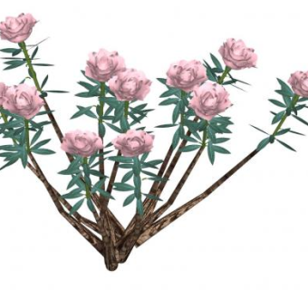 粉玫瑰灌木SU模型下载_sketchup草图大师SKP模型