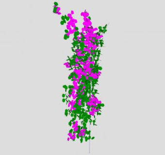 三角梅藤本植物SU模型下载_sketchup草图大师SKP模型