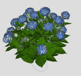 夏天蓝色绣球花SU模型下载_sketchup草图大师SKP模型