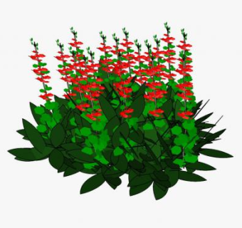 红色的鼠尾草SU模型下载_sketchup草图大师SKP模型