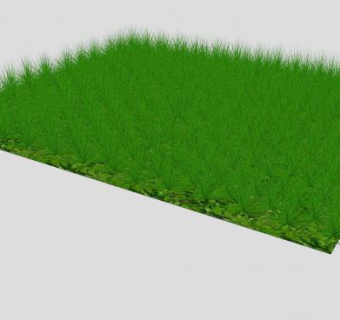草坪植物SU模型下载_sketchup草图大师SKP模型