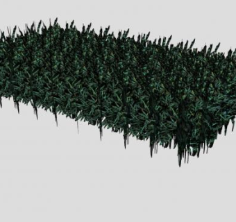 黑草草本植物SU模型下载_sketchup草图大师SKP模型