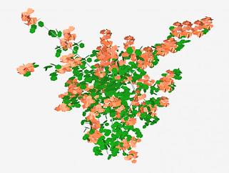 橙色三角梅植物SU模型下载_sketchup草图大师SKP模型