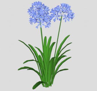 百子莲蓝花SU模型下载_sketchup草图大师SKP模型