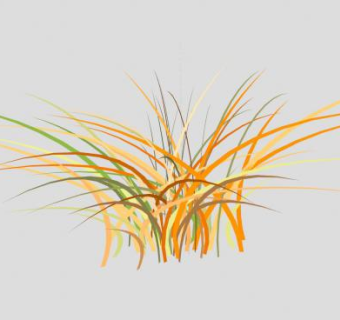 禾本科草本植物SU模型下载_sketchup草图大师SKP模型