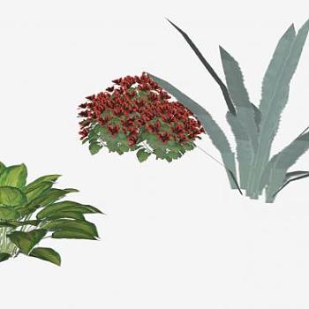 观赏植物<em>灌木</em>sketchup<em>模型</em>下载_sketchup草图大师SKP...