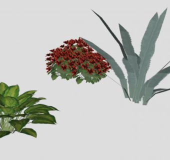 观赏植物灌木sketchup模型下载_sketchup草图大师SKP模型
