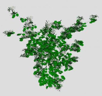 茉莉花灌木SU模型下载_sketchup草图大师SKP模型