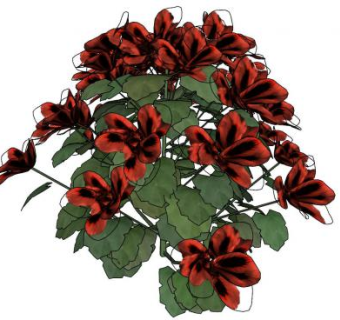 红花观花灌木SU模型下载_sketchup草图大师SKP模型