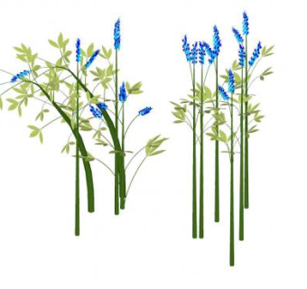 蓝色草本植物SU模型下载_sketchup草图大师SKP模型
