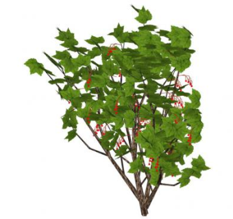 灌木树植物SU模型下载_sketchup草图大师SKP模型