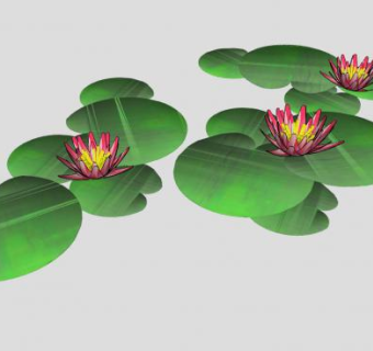 荷叶睡莲SU模型下载_sketchup草图大师SKP模型