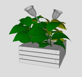 花箱盆栽植物SU模型下载_sketchup草图大师SKP模型