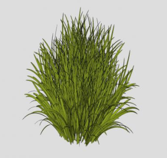绿叶灌木植物sketchup模型下载_sketchup草图大师SKP模型