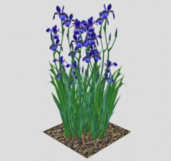 蓝色鸢尾花植物SU模型下载_sketchup草图大师SKP模型