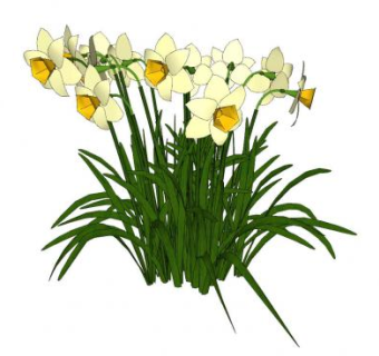 三维花卉SU模型下载_sketchup草图大师SKP模型