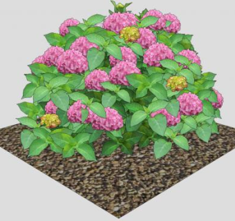 粉红色的绣球花SU模型下载_sketchup草图大师SKP模型