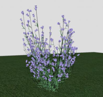 直立开花灌木SU模型下载_sketchup草图大师SKP模型