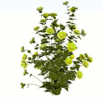 绿色开花灌木SU模型下载_sketchup草图大师SKP模型