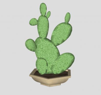 仙人掌植物盆栽SU模型下载_sketchup草图大师SKP模型