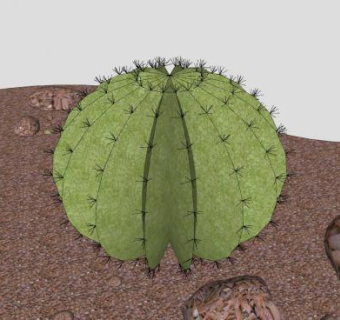 仙人掌球植物SU模型下载_sketchup草图大师SKP模型
