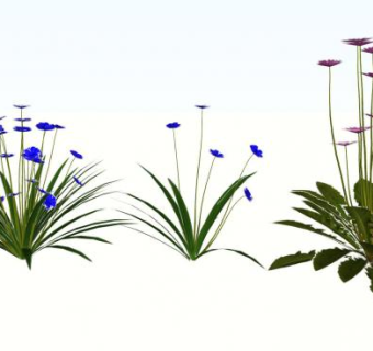 粉色蓝色开花植物SU模型下载_sketchup草图大师SKP模型