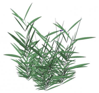 半灌木植物SU模型下载_sketchup草图大师SKP模型