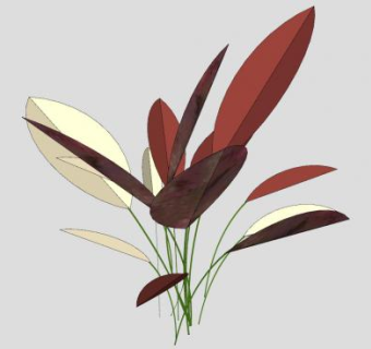 竹竽植物SU模型下载_sketchup草图大师SKP模型