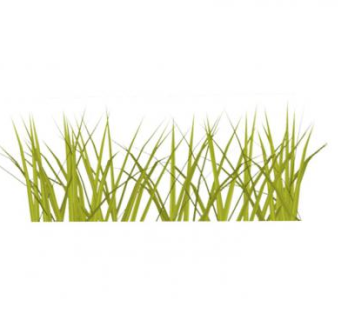 2D草片SU模型下载_sketchup草图大师SKP模型