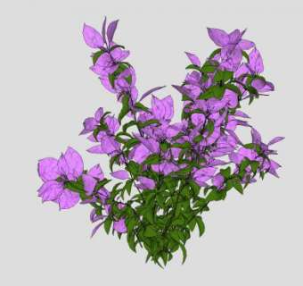 紫色开花灌木SU模型下载_sketchup草图大师SKP模型