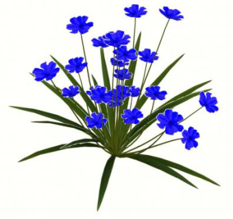 蓝花花卉SU模型下载_sketchup草图大师SKP模型