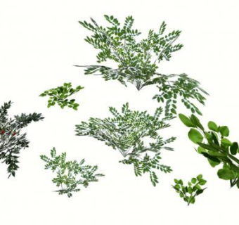 多种灌木植物SU模型下载_sketchup草图大师SKP模型