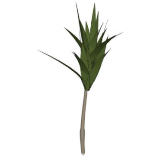 木薯植物SU模型下载_sketchup草图大师SKP模型