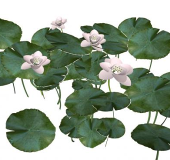 白睡莲和荷叶SU模型下载_sketchup草图大师SKP模型