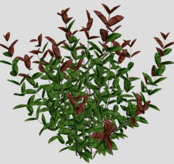 红叶石楠小灌木SU模型下载_sketchup草图大师SKP模型