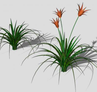 开花绿叶草本SU模型下载_sketchup草图大师SKP模型