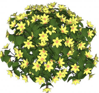 黄花绿叶灌木sketchup模型下载_sketchup草图大师SKP模型