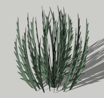 迷迭香灌木植物sketchup模型下载_sketchup草图大师SKP模型