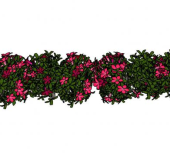 开花灌木丛SU模型下载_sketchup草图大师SKP模型