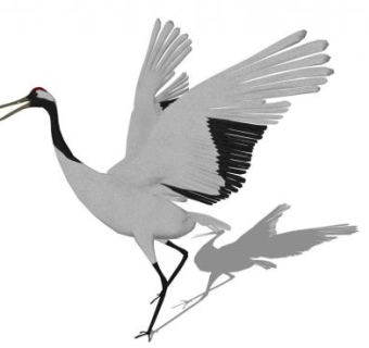 鸟su模型下载_sketchup草图大师SKP模型