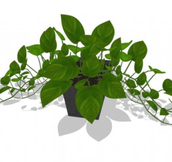 盆栽su模型下载_sketchup草图大师SKP模型