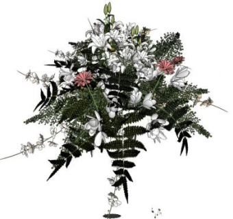 花卉su模型下载_sketchup草图大师SKP模型